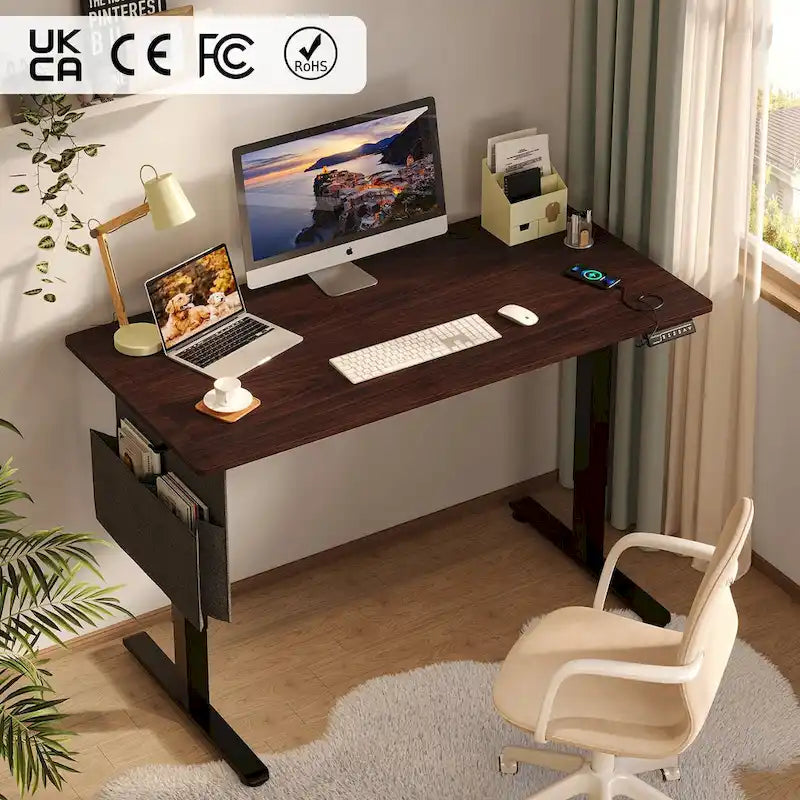 Bureau debout électrique réglable en hauteur – Noyer / Chêne blanc, Monomoteur, 1 personne