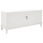 Meuble TV média de rangement 2 portes 2 étagères SAFAVIEH Echo - 47,3 L x 15,8 P x 20 H - 47x16x20